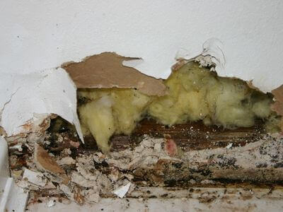 Professional water damage restoration services in Bucks, AL - Trusted Water Damage Professionals Serving Your Area